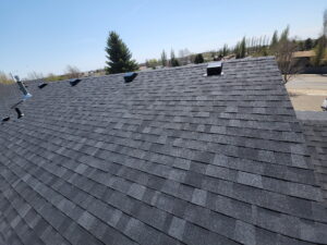 Owens Corning TruDefinition Duration Class 3 UL2218 - Onyx Black